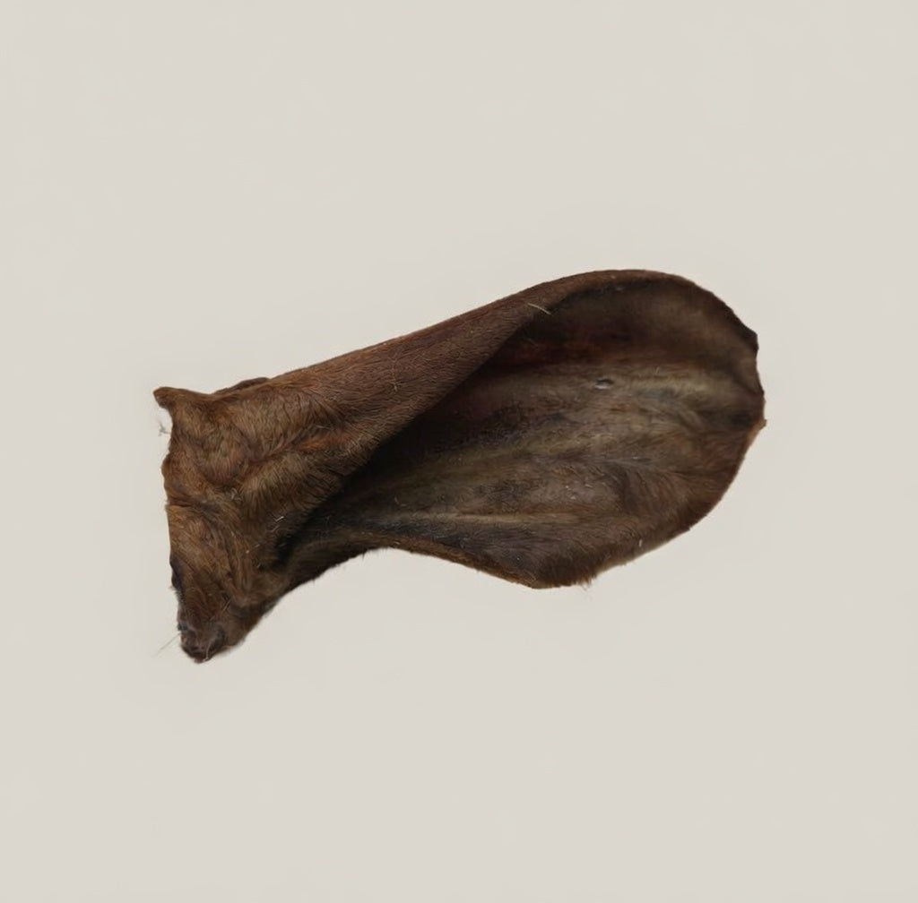 Beef Ear with Fur - Dehydrated Chews