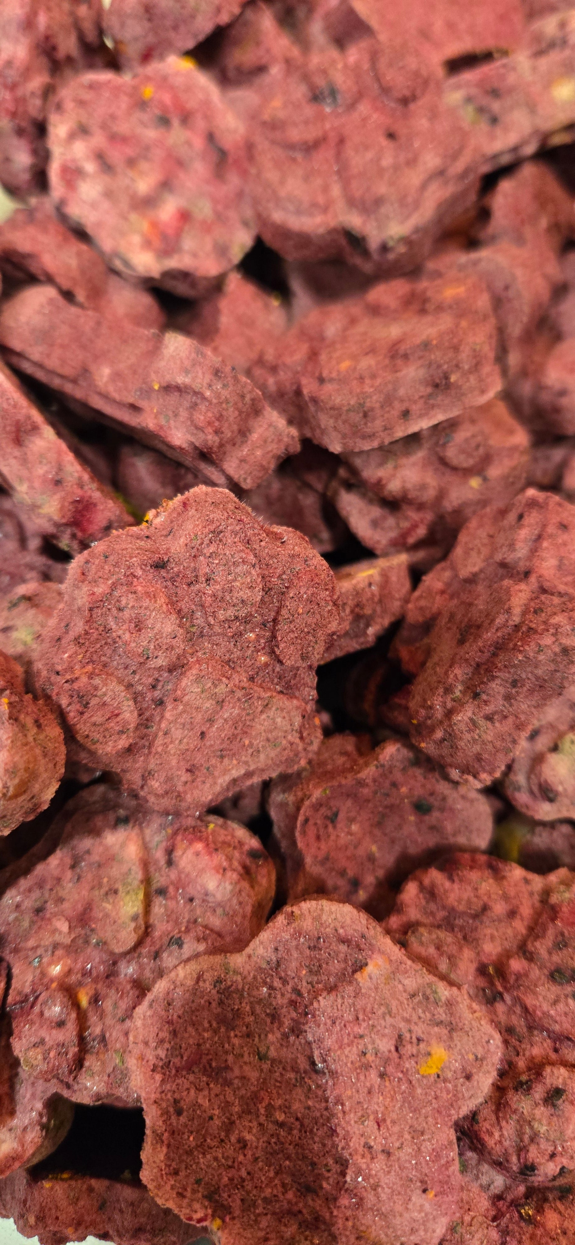 Ruffn Ready Superfood Smoothie Biscuits for Dogs and Cats