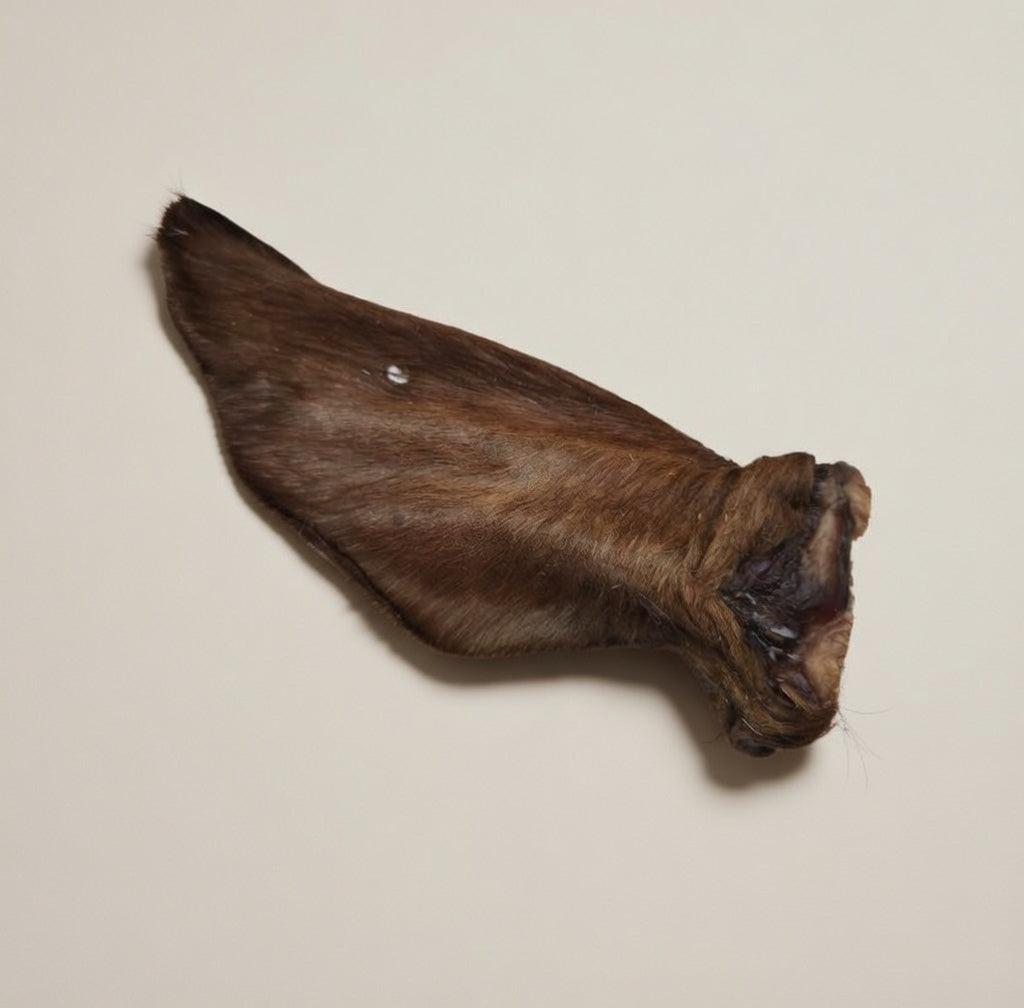 Beef Ear with Fur - Dehydrated Chews