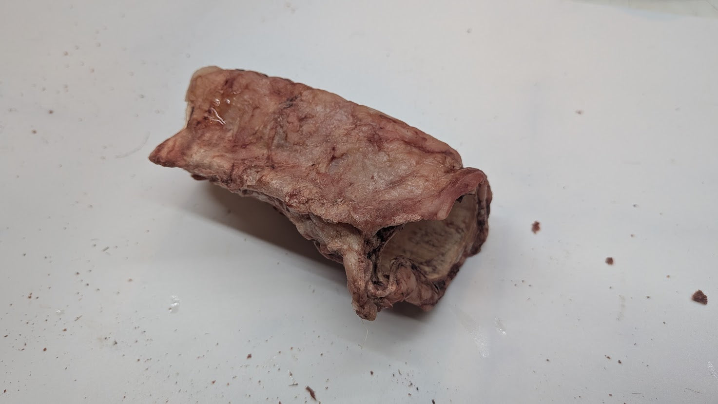Beef Trachea Stuffers - Freeze Dried Dog Treats