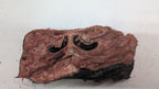 Beef Snout - Freeze Dried Whole