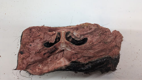 Beef Snout - Freeze Dried Whole