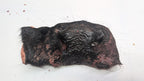 Beef Snout - Freeze Dried Whole