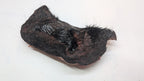 Beef Snout - Freeze Dried Whole