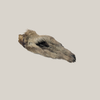 Lamb Ear - Whole with Fur - Natural Dog Chew