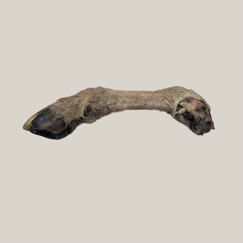 Lamb Legs With Hoove - Whole