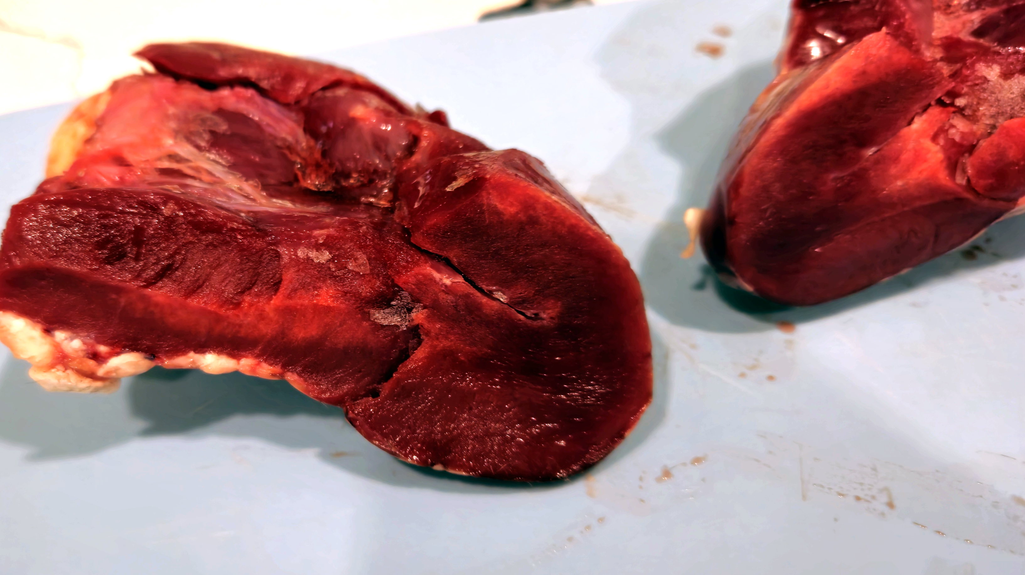 Beef Heart Freeze Dried Dog Treats Farm Raised