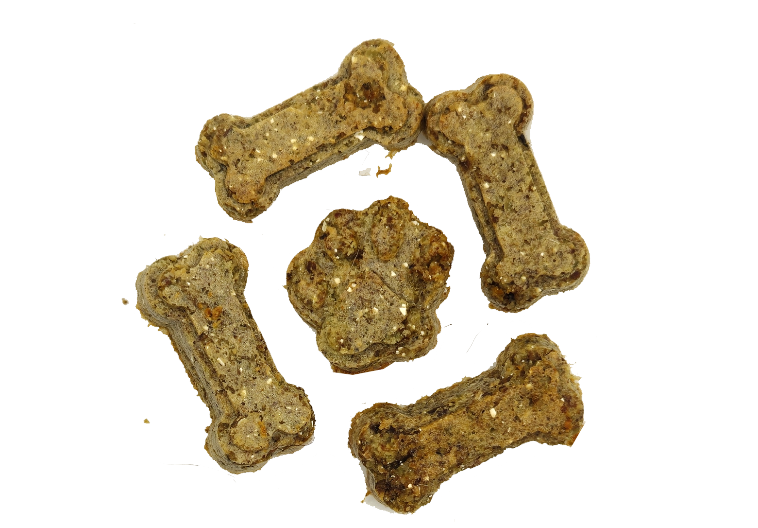 Pumpkin Buck Biscuits Freeze Dried