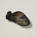 Beef Ear with Fur - Dehydrated Chews