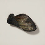 Beef Ear with Fur - Dehydrated Chews