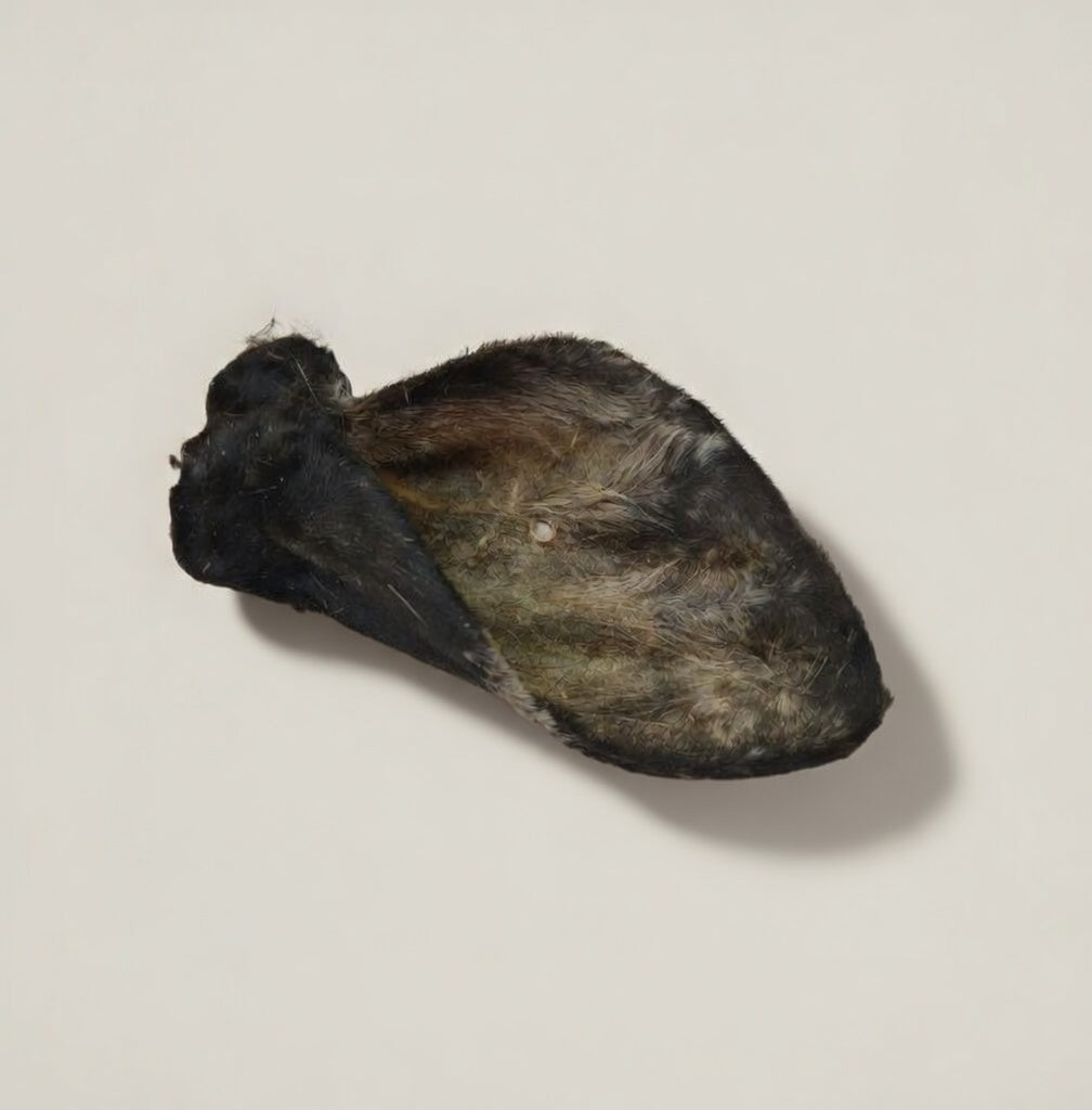 Beef Ear with Fur - Dehydrated Chews