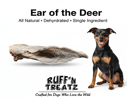 Ear of the Deer