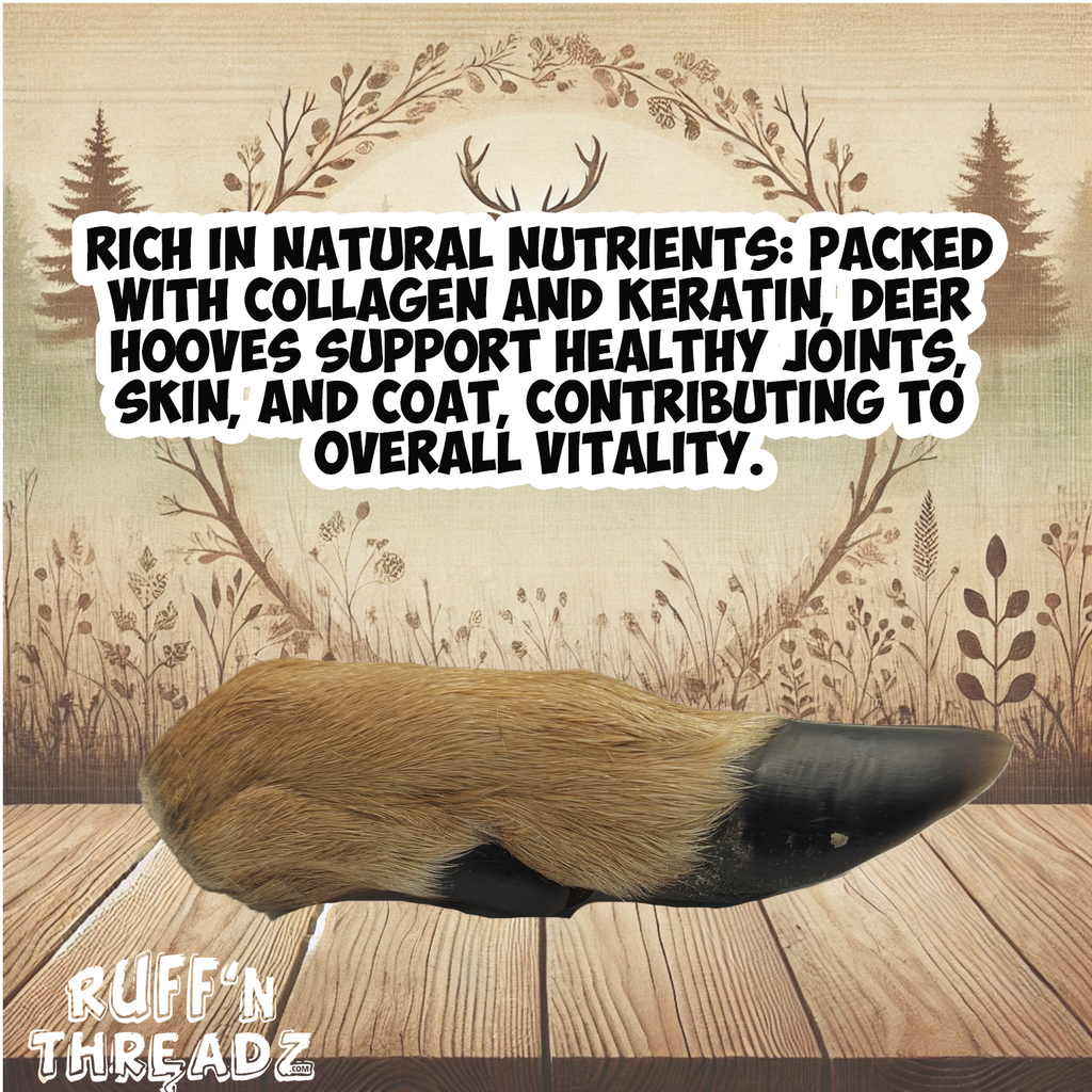 All Natural Deer Leg Dog Bones and Chews