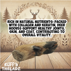 All Natural Deer Leg Dog Bones and Chews