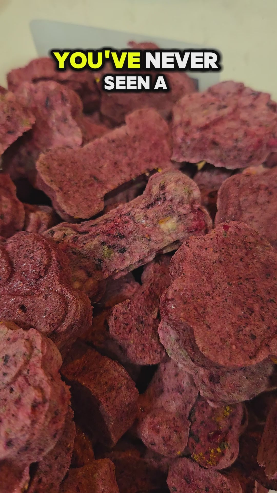 Ruffn Ready Superfood Smoothie Biscuits for Dogs and Cats