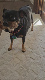 Deer Skin Jerky Rolls All Natural Dog Chews